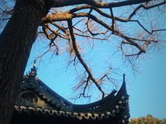 -豫园