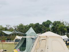 -春花秋色城市公园