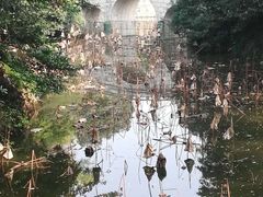 -水绘园