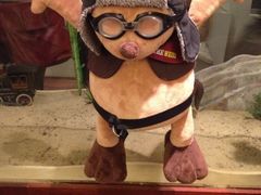 泰迪熊博物馆-济州岛泰迪熊博物馆