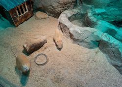 -酷嗒动物文化乐园(cutezoo西溪乐天城店)