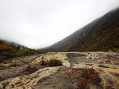 -黄龙山原始森林景区