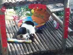 -大连森林动物园