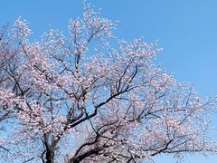 -吉林大学(南岭校区)