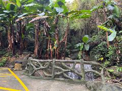 -梧桐山风景名胜区