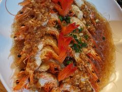 -新白鹿餐厅(百联中环店)