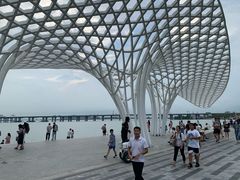 -宝安西湾红树林湿地公园