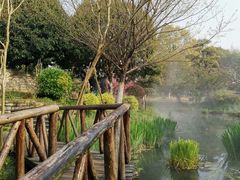 -武汉紫薇都市田园