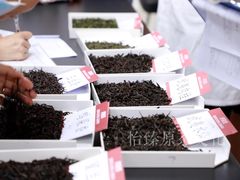 -广东轻工职业技术大学(新港校区)