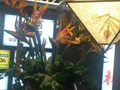 -云海肴云南菜·蒸汽石锅鱼(北京良乡华冠店)