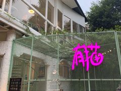 -有猫主题·治愈系猫咖(曾厝垵店)