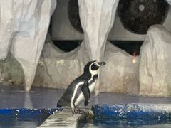 -太平洋海底世界