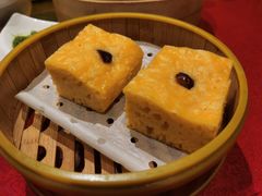 -老阿妈蒙古村·蒙古包·草原文化·歌舞表演(老君堂店)