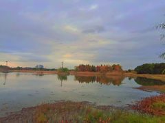 -贡湖湾湿地公园