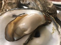 -豪园台山碳烧生蚝(蓬江江华店)