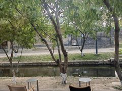 -春风习习