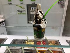 -Salud撒露欧洲冻酸奶(蓝色港湾店)