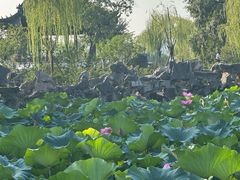 -无锡蠡湖国家湿地公园-蠡园