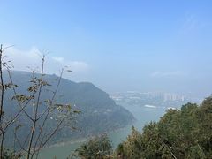 -铁山坪森林公园