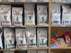 -中农大我爱我爱24h动物医院·中医针灸·猫专科·骨科医疗中心(双井店)