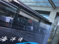 -普陀长途客运中心