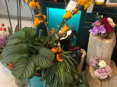 -BoBloom花店(晶耀前滩店)