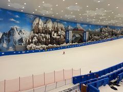 -湘江欢乐城欢乐雪域