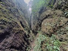 -青城山