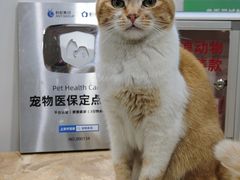 -爱侣·安琦尔宠物医院·中兽医针灸·心内科·狂犬免疫点(宝山区院)