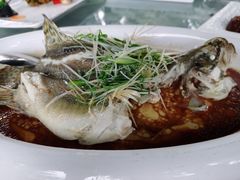 特色桂花鱼-陶缘一号·四季缘·老字号顺德菜·户外婚礼家宴(西滘店)