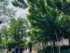 -雁滩公园