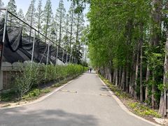 -上海长兴岛郊野公园