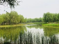 -东郊湿地公园