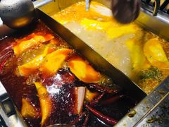 美蛙鸳鸯锅-重庆高老九火锅(文峰广场店)