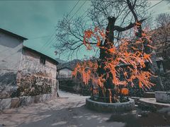 -水峪民俗村