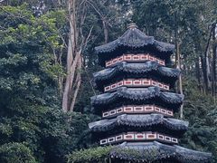 -深圳国际园林花卉博览园