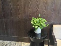 -珠海棕泉水疗酒店(拱北口岸高铁站店)