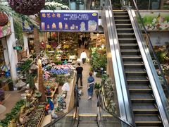 -双季花艺园艺市场(浦东店)