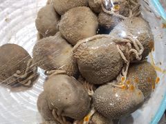 -刘二永香羊肉面庄(长安店)