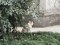 -西安碑林博物馆