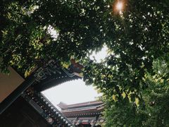 -国家图书馆·古籍馆