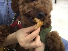 -蒙记老牌豆浆