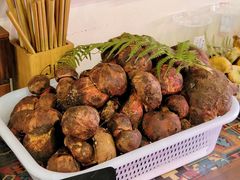 -阿山卓·野生菌火锅·纳西火塘烤肉