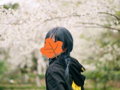 -武汉大学-樱园