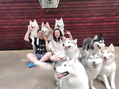 -TrueLove @ Neverland (Husky Cafe)