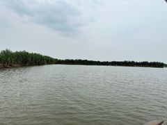 -焦岗湖旅游度假区