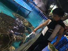 -泉城欧乐堡海洋极地世界