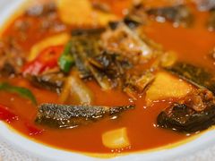 甲鱼-马仕玖煲·融合菜·酥不腻烤鸭(人大店)