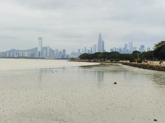 -深圳湾公园(南山区)