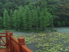 -广州市石门国家森林公园